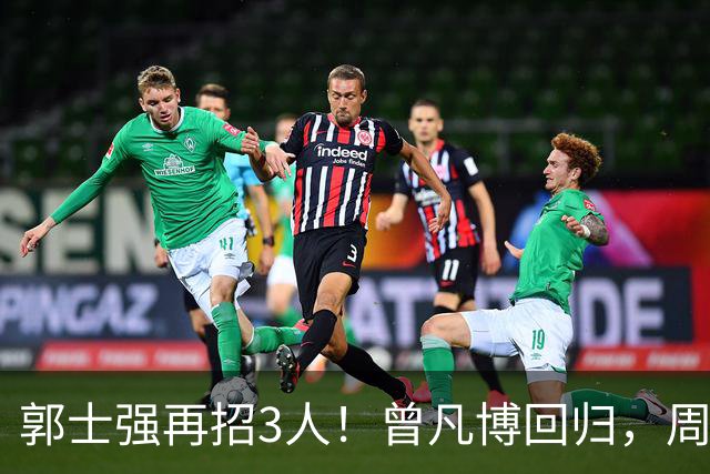 郭士强再招3人！曾凡博回归，周琦缺席，胡明轩徐杰双双被辞退
